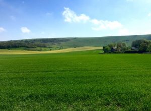 East Sussex Countryside. Self catering cottage